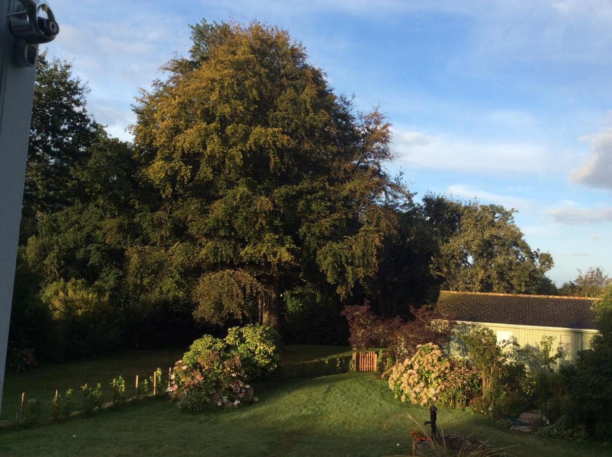 Beech Hut - A Streamside Family Escape Near Salcombe And Beaches South Milton エクステリア 写真