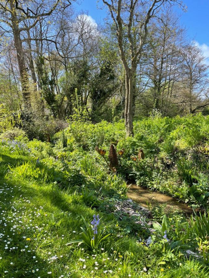 Beech Hut - A Streamside Family Escape Near Salcombe And Beaches South Milton エクステリア 写真